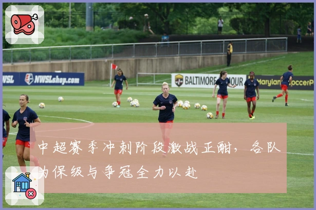 中超赛季冲刺阶段激战正酣，各队为保级与争冠全力以赴